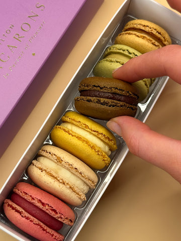 6 Classic Macarons