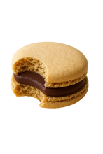 Load image into Gallery viewer, Hazelnut