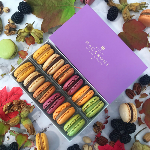 12 Autumn Harvest Macarons