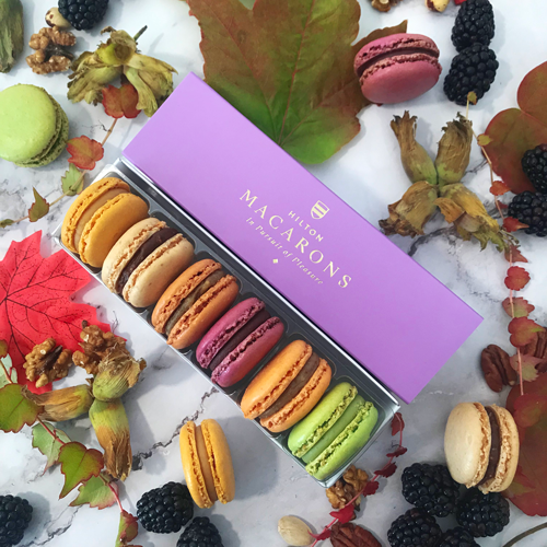 6 Autumn Harvest Macarons